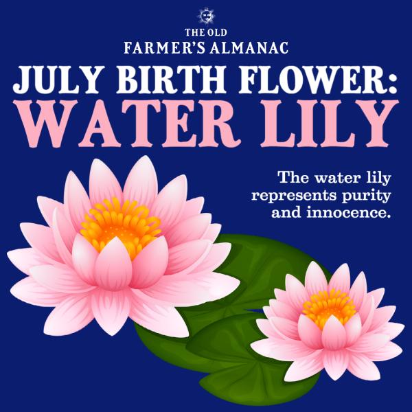 april birth flower