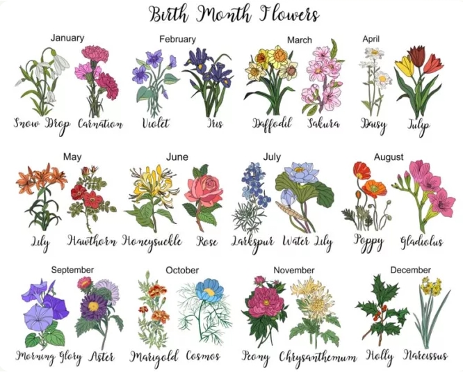 month birth flower